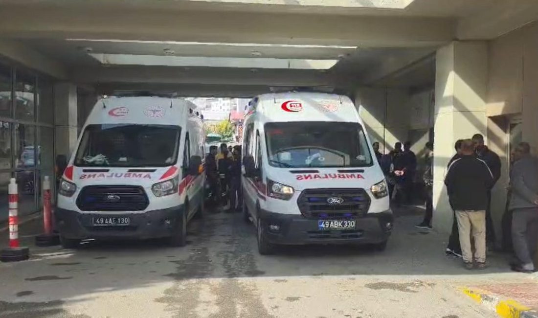 Arazi kavgasında kardeşini öldürüp, 3 kişiyi yaraladıktan sonra intihar etti Muhammed Sami MARAL/MUŞ, – MUŞ’un Hasköy ilçesinde arazi anlaşmazlığı nedeniyle