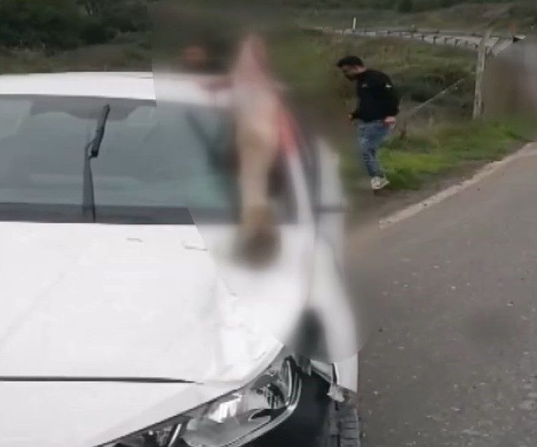 Arnavutköy’de otomobilin çarptığı at öldü: 3 kişi yaralandı Taylan ERGÜN / İSTANBUL, – ARNAVUTKÖY’de sürücüsü Yunus S.’nin direksiyon