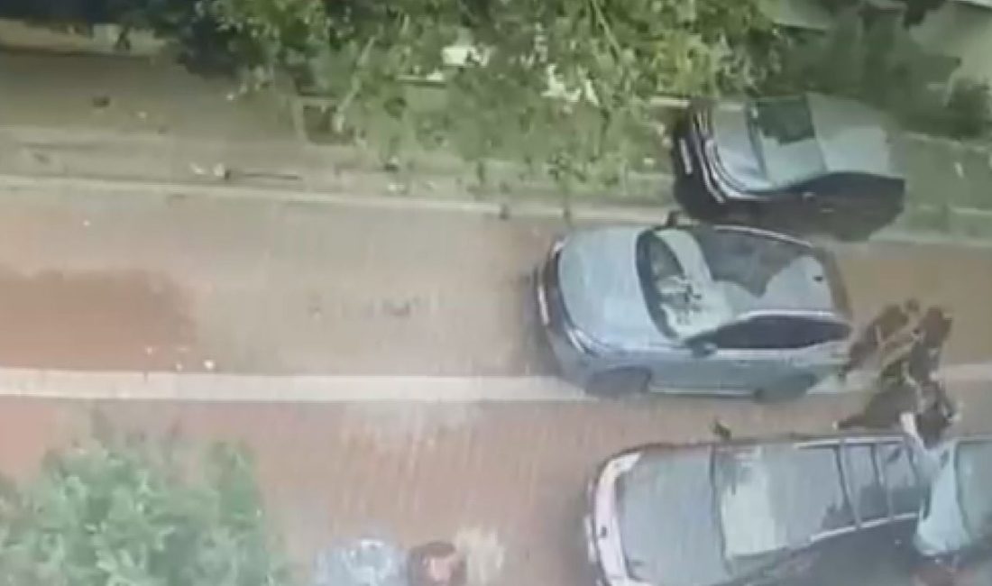 Avcılar’da bıçaklı kavganın ardından cipin çarptığı 3 kişi yaralandı; 5 tutuklama Doğan Can CESUR-İhsan DÖRTKARDEŞ/İSTANBUL, – AVCILAR’da iki grup arasında çıkan