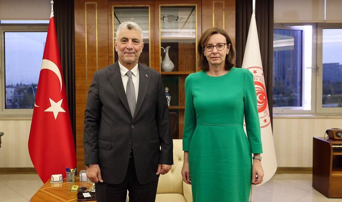 Bakan Bolat, Birleşik Krallık’ın Ankara Büyükelçisi Anderson ile bir araya geldi ANKARA, – TİCARET Bakanı Ömer Bolat, Birleşik Krallık’ın Ankara Büyükelçisi