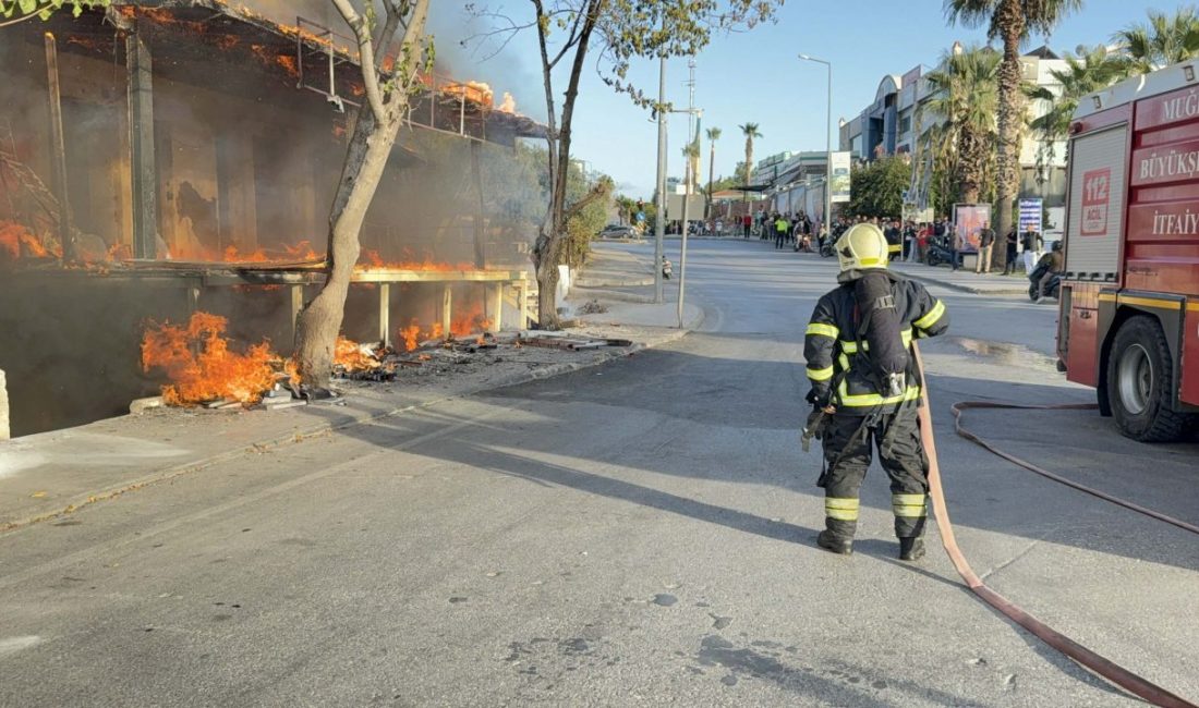 Fırat AKAY / BODRUM (Muğla), -MUĞLA’nın Bodrum ilçesinde, çiçekçi olarak