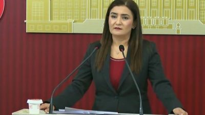 Aliekber METE/ANKARA, – CHP Grup Başkan Vekili Sevda Erdan Kılıç,