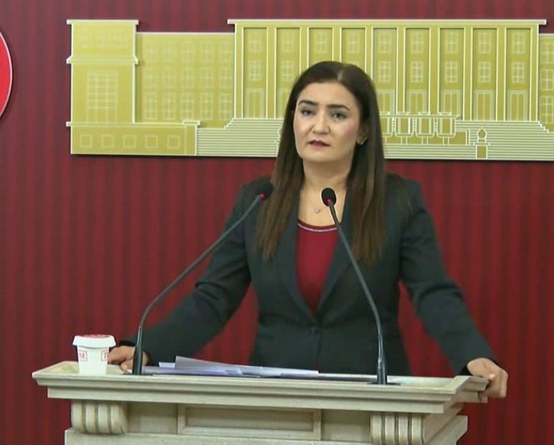 Aliekber METE/ANKARA, – CHP Grup Başkan Vekili Sevda Erdan Kılıç,