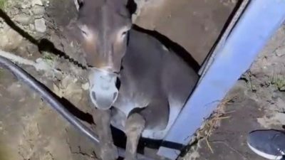 Mahir ALAN/ADIYAMAN, – ADIYAMAN’ın Gerger ilçesinde elektrik direği için açılan
