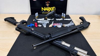 Musa KESKİN/DÜZCE, – DÜZCE’de polisin düzenlediği operasyonda çeşitli tür ve