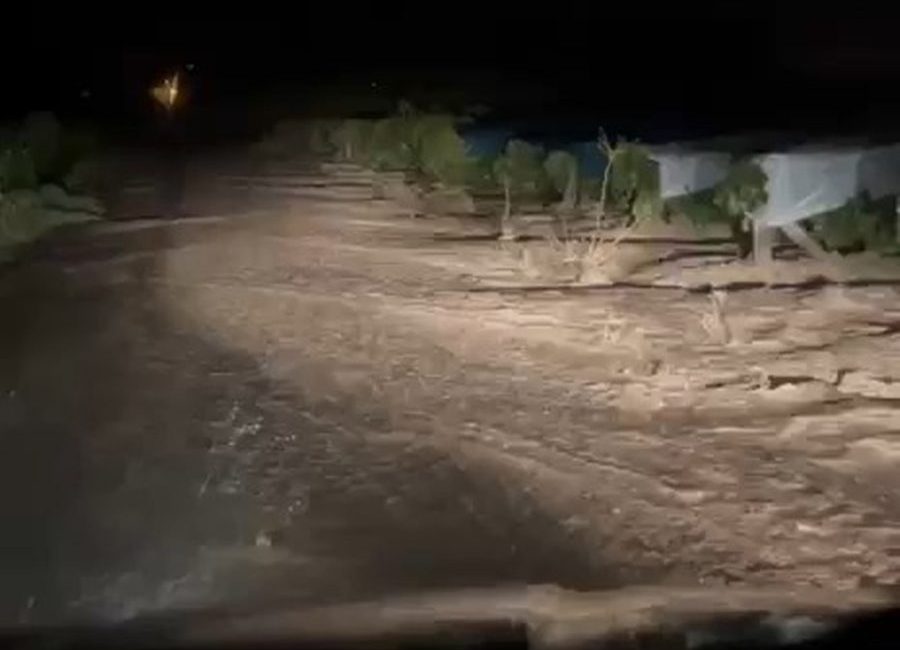 Elazığ’da sağanak sele neden oldu, üzüm bağları su altında kaldı Ayşe TARHAN/ELAZIĞ, – ELAZIĞ’da etkili olan sağanak nedeniyle üzüm bağlarıyla