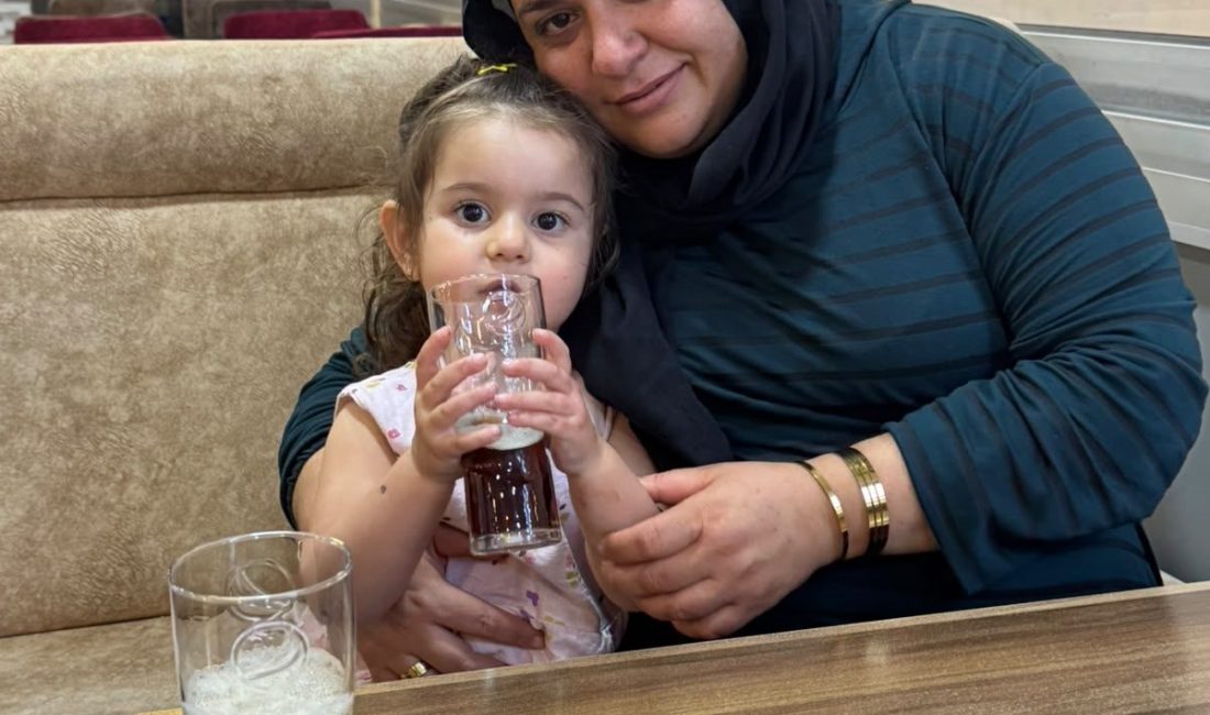 Cuma Yunus YAŞATIR/HATAY, – HATAY’ın Reyhanlı ilçesinde otomobil, bebek arabasıyla
