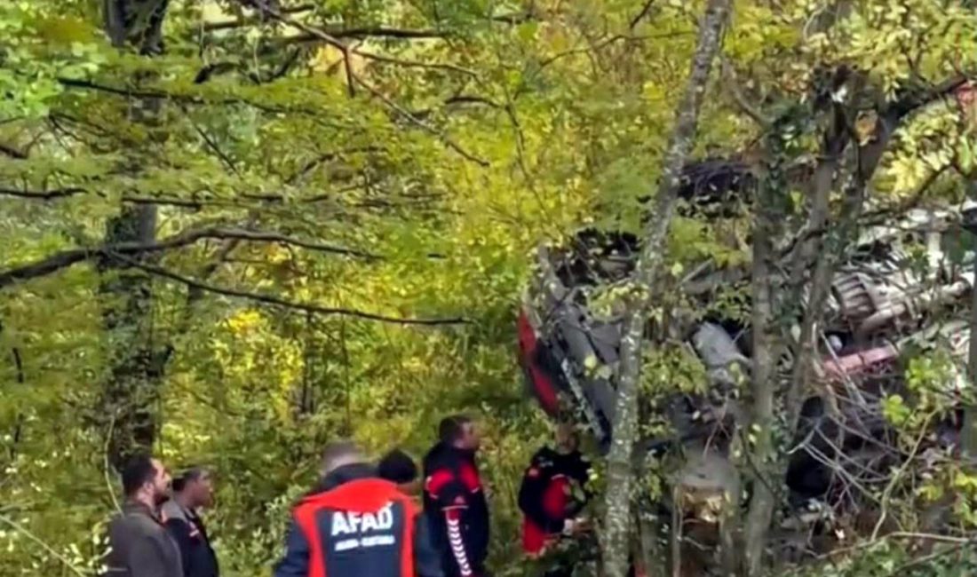 Vahit İŞBAŞARAN/KIRKLARELİ, – KIRKLARELİ’nin Demirköy ilçesinde kamyonun şarampole devrildiği kazada