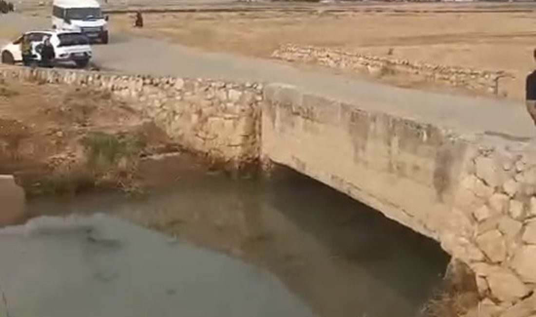 Salih KESKİN-Ahmet AKKUŞ/NUSAYBİN (Mardin), – MARDİN’in Nusaybin ilçesinde yol kenarındaki