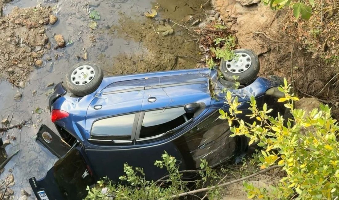 Otomobil, dereye uçtu; 3 yaralı Melek FIRAT/AYDIN, – AYDIN’ın Efeler ilçesinde dereye düşen otomobildeki 3