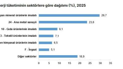ANKARA, – TÜRKİYE İstatistik Kurumu (TÜİK), 2025 yılında sanayi sektörü