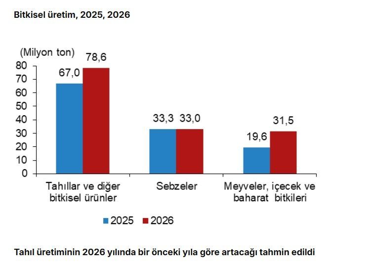 ANKARA, -TÜRKİYE İstatistik Kurumu (TÜİK), 2026 yılı 2’nci tahminlerinde tahıllar,