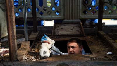 Semih ERSÖZLER/ANTALYA, – ANTALYA’nın Konyaaltı ilçesinde yer altı çöp konteynerlerinin