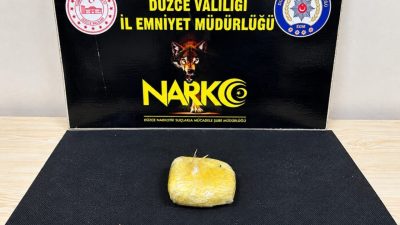 Musa KESKİN/DÜZCE – DÜZCE’de, batı illerinden doğu illerine giden yolcu